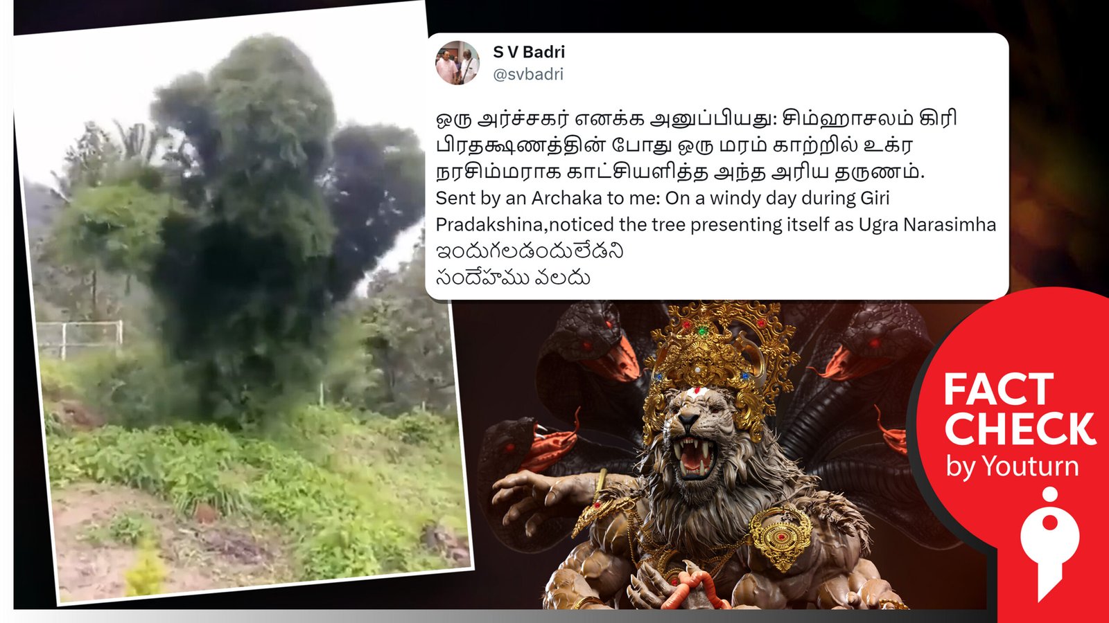 Rumor tersebar luas tentang pohon yang muncul di udara dalam bentuk Narasimha raksasa selama festival Krivalam di Andhra Pradesh!